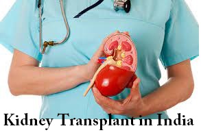 Everything You Need To Know About Kidney Transplant in India