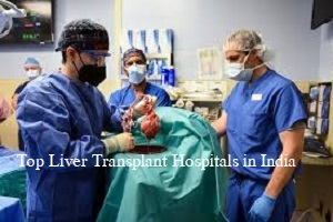 Top 10 best Liver Transplant Hospitals in India